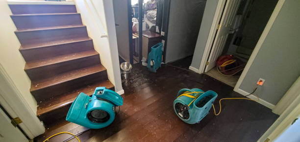 Best Ceiling water damage repair  in Eagle Lake, TX