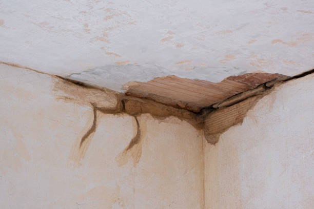 Water damage restoration insurance claims in Eagle Lake, TX