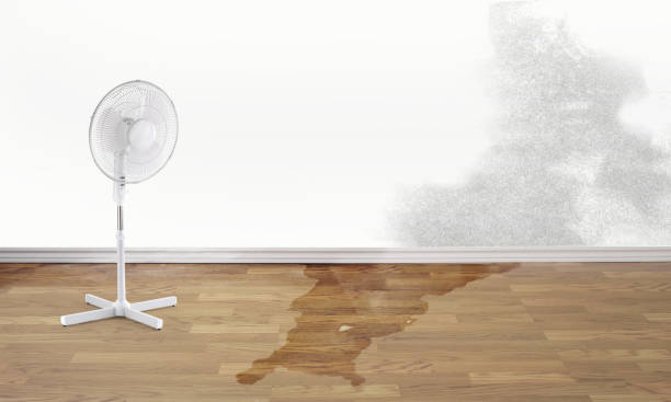 Best Water damage restoration near me  in Eagle Lake, TX