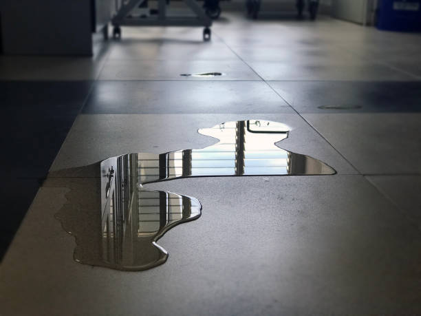 Best Carpet water damage restoration  in Eagle Lake, TX