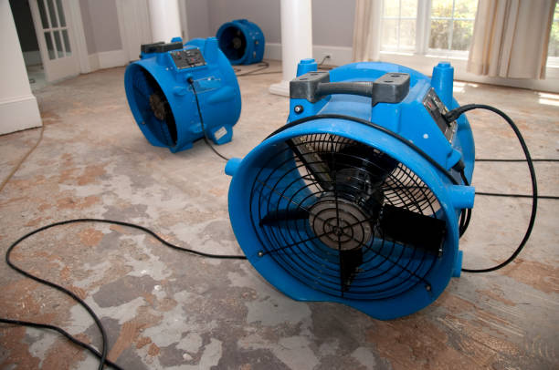 Best Residential water damage restoration  in Eagle Lake, TX