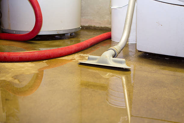 Best Water damage contractors near me  in Eagle Lake, TX