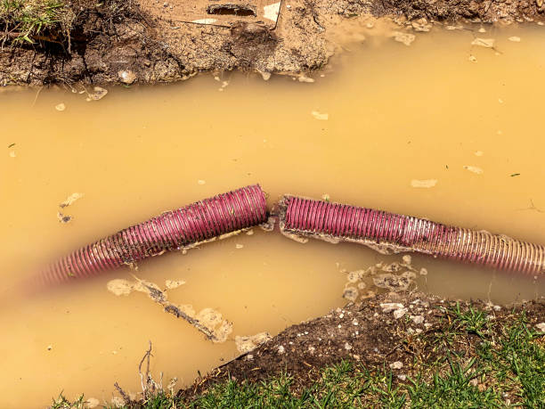 Best Mold removal after water damage  in Eagle Lake, TX